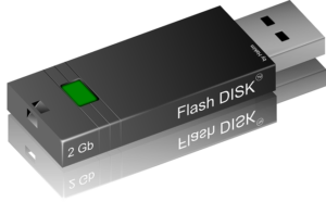 Malware in a flash drive, IT management, Aptica LLC